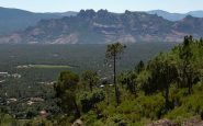 Roquebrune-sur-Argens dans le Var