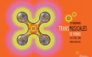 Affiche Trans Musicales Rennes 2013