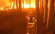 Incendies en Australie