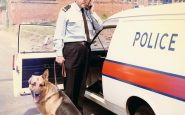 Chien policier anglais