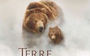 Affiche Terre des Ours