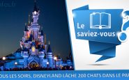 saviez vous disney