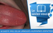 saviez vous langues