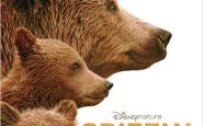 Affiche Grizzly