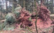 Tempête Ciara France