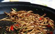 mealworms 4233227 1280