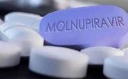 Pilule anti-Covid Molnupiravir, dont l'utilisation est approuvée par la FDA américaine