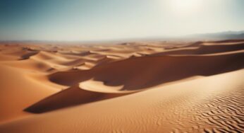 « Vingt et un personnes ont perdu la vie au Maroc suite à un épisode de forte chaleur. »
