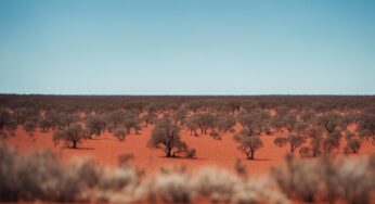 Australie interdit exploitation uranium site aborigène