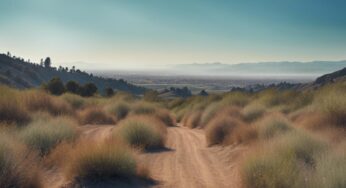 « Mégafeu en Californie du Nord: 350 000 hectares brûlés »