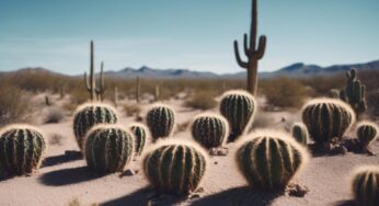 Ingénieur jugé pour tir Arizona