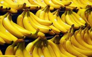 Etal de banane dans un magasin